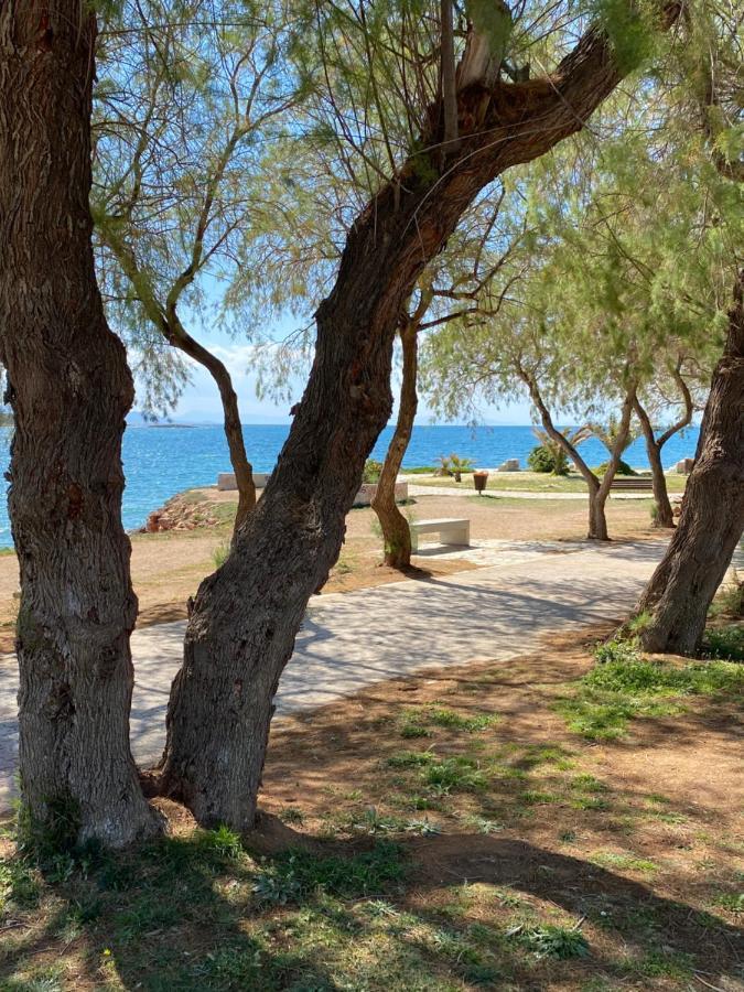 Apartment Athens-riviera Luxury Sea View Voula Athens